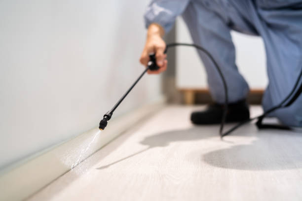 Licensed Pest Control service in La Honda, CA - Show Me Pest Control